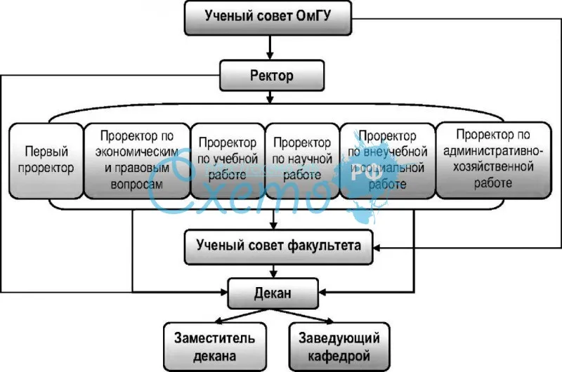 Административная структура университета на примере ОМГУ