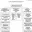 Структура финансов предприятия схема таблица