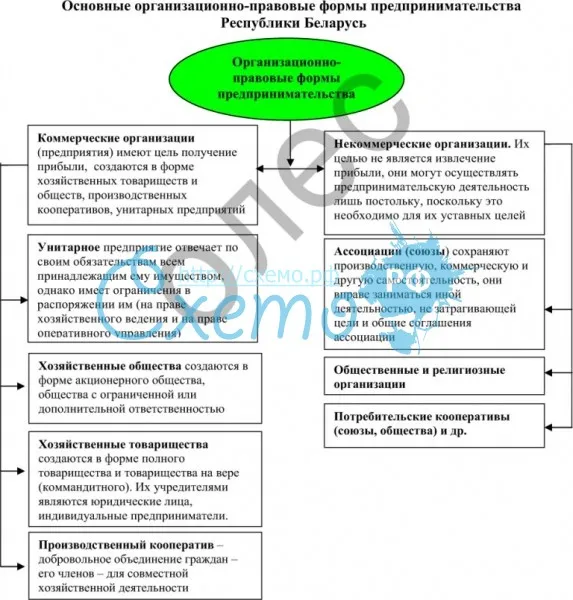 Основные организационно-правовые формы предпринимательства Республики Беларусь