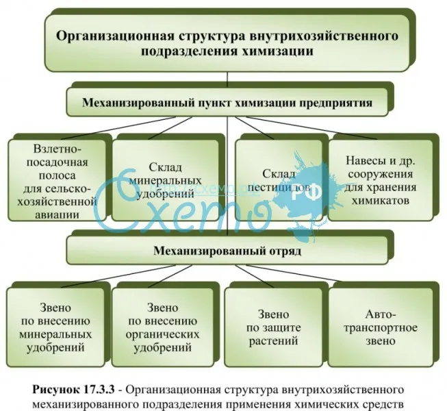 Организационная структура внутрихозяйственного подразделения химизации