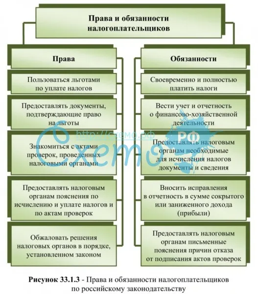 Права и обязанности налогоплательщиков по российскому законодательству