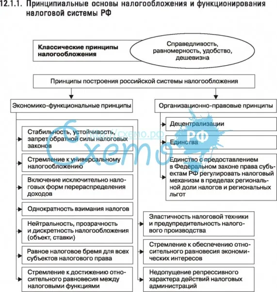 Основы налогообложения и функционирования налоговой системы РФ