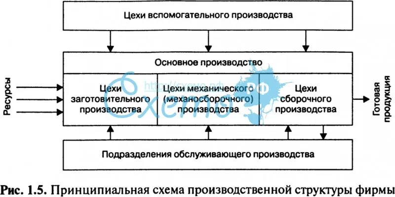 Принципиальная схема производственной структуры фирмы