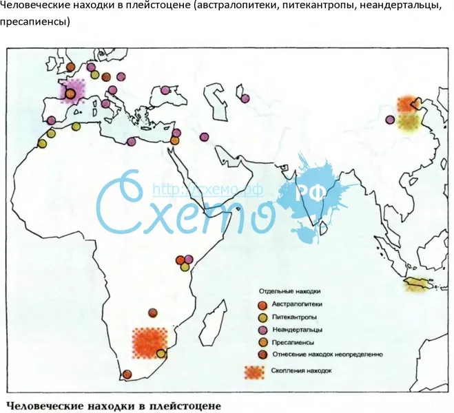 Человеческие находки в плейстоцене (австралопитеки, питекантропы, неандертальцы, пресапиенсы)