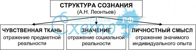 Структура сознания (А.Н. Леонтьев)