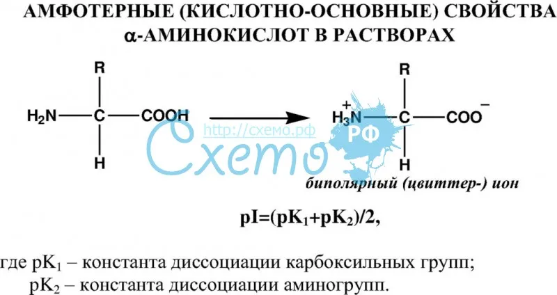 Амфотерные (кислотно-основные) свойства аминокислот в растворах