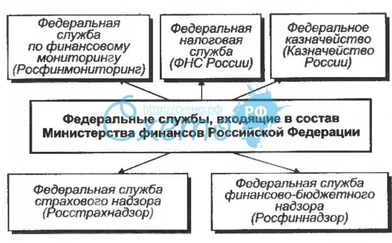Федеральные службы, входящие в состав Министерства финансов Российской Федерации