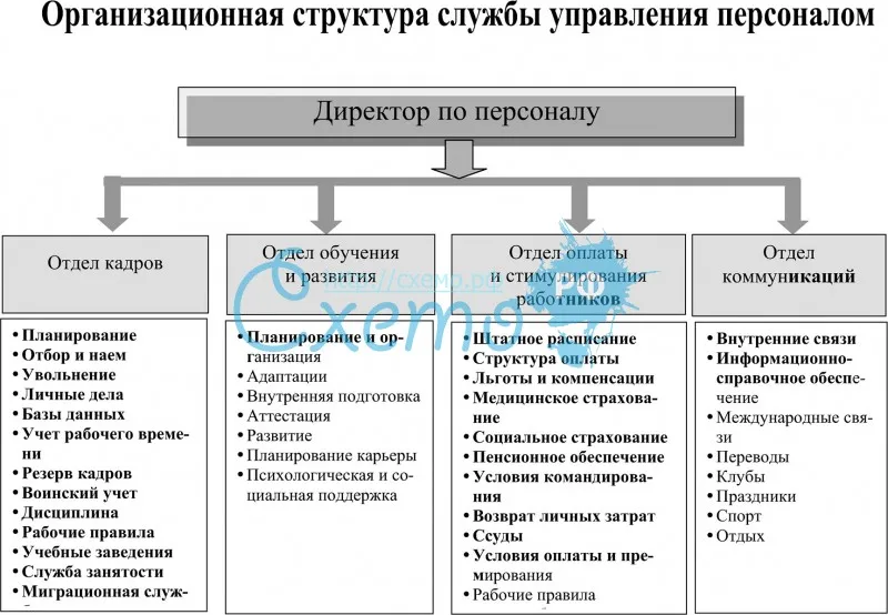 Организационная структура службы управления персоналом
