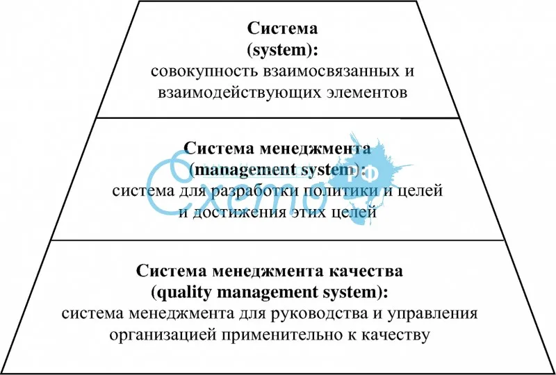 Понятие и соотношение системы, системы менеджмента и системы менеджмента качества