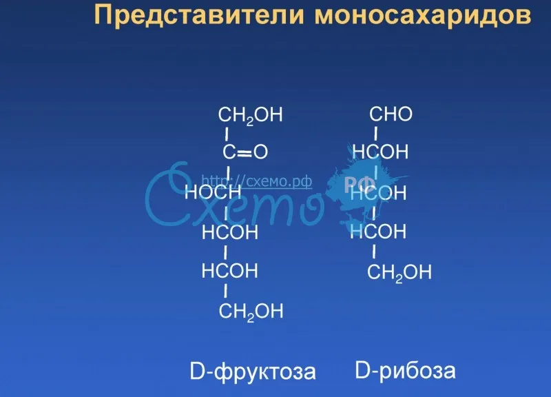 Представители моносахаридов