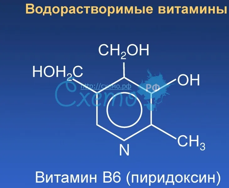 Водорастворимы витанмин В6 (пиридоксин)