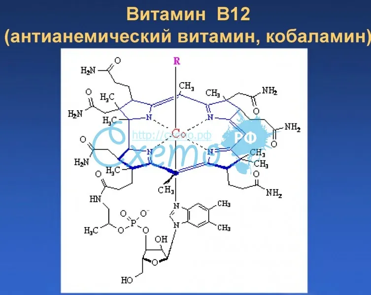 Витамин В12 (антианемический витамин, кобаламин)