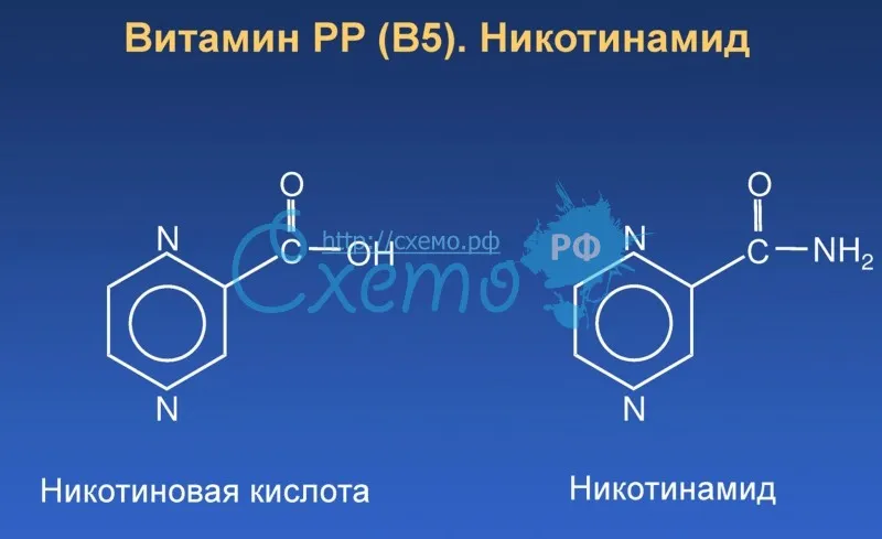 Витамин РР (В6) никотинамид