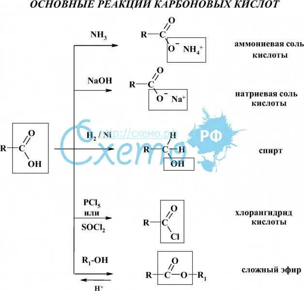 Основные реакции карбоновых кислот