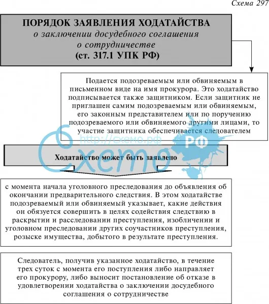 Порядок заявления ходатайства (ст. 317.1 УПК РФ)