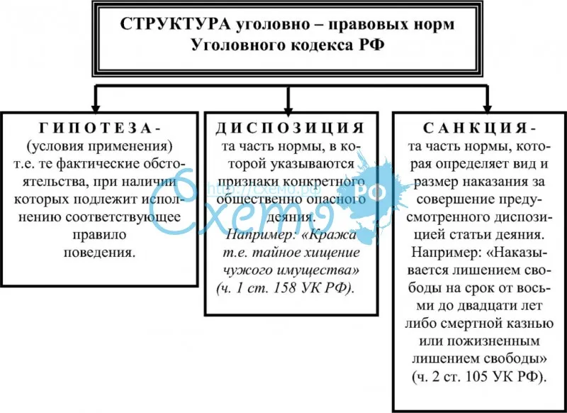 Структура уголовно-правовых норм Уголовного кодекса РФ