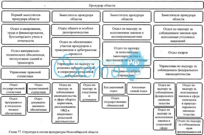 Структура и состав прокуратуры Новосибирской области