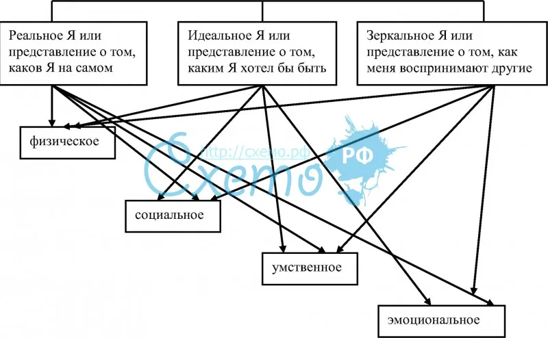 Иерархическая структура Я-концепции (Р.Берн), реальное Я, идеальное Я, зеркальное Я