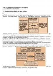 Новиков А. Учебное пособие по психологии в схемах, 1999