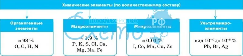 Химические элементы (по количественному составу)