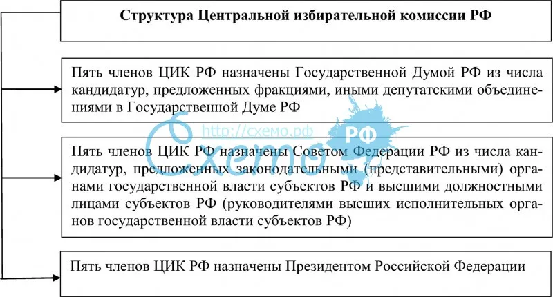 Структура Центральной избирательной комиссии РФ
