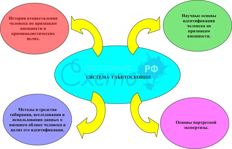 Система габитоскопии