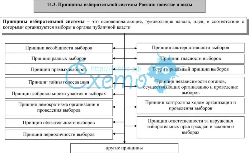 Принципы избирательной системы России: понятие и виды