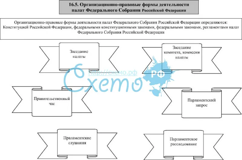 Организационно-правовые формы деятельности палат Федерального Собрания РФ