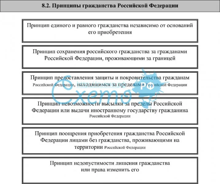 Принципы гражданства РФ