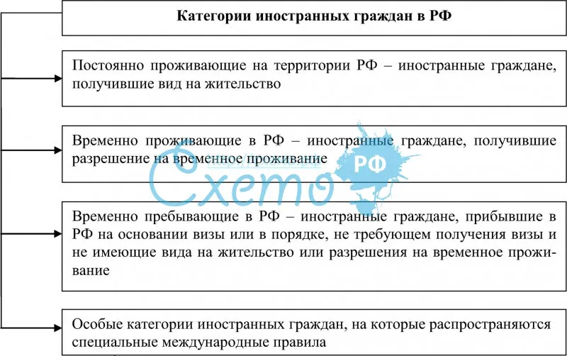 Категории иностранных граждан в РФ