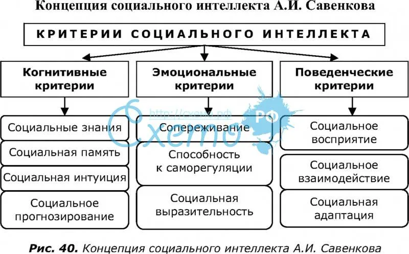 Концепция социального интеллекта А.И. Савенкова