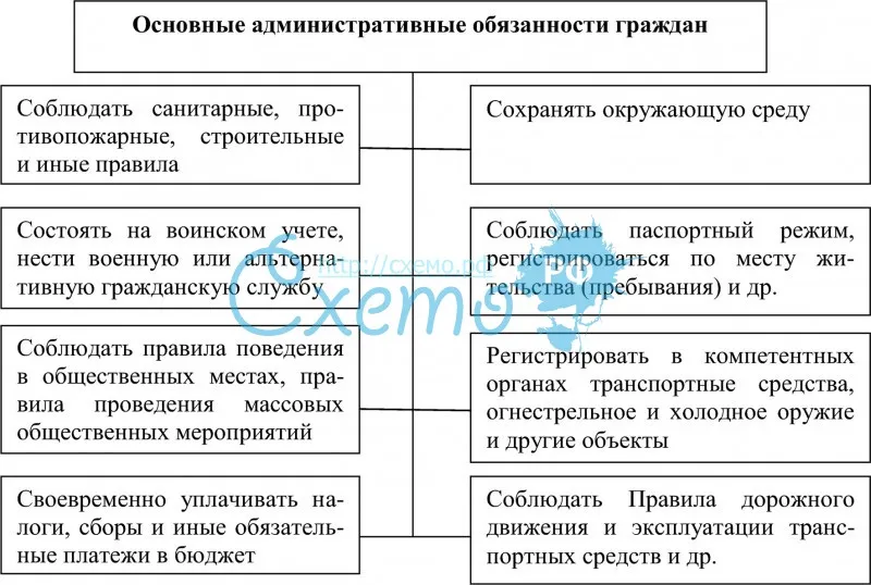 Административные обязанности граждан РФ