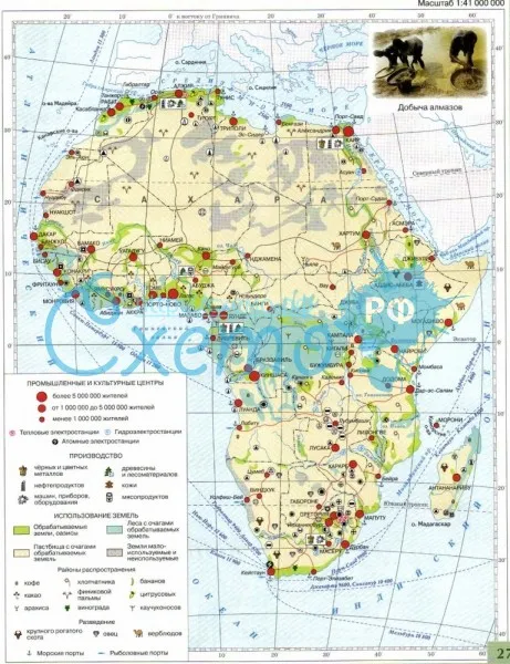 Африка. Население и хозяйство