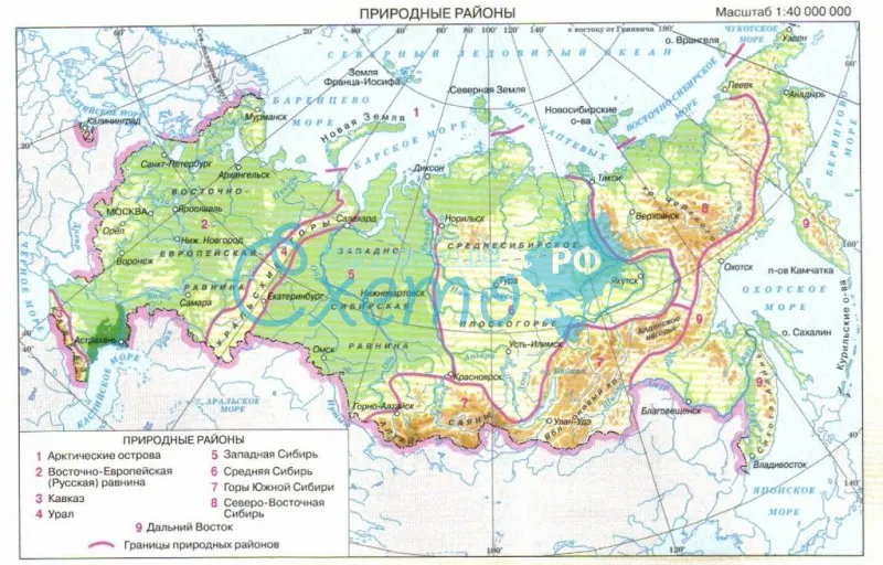 Природные районы России