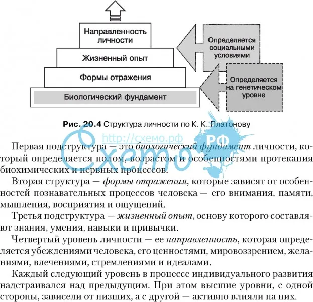 Структура личности по К. К. Платонову