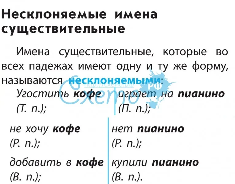 Русский язык 5 класс тема несклоняемые существительные. Нескллняемые имена сущ. Несклоняемые имена существительных. Примеры несклоняемых существительных. Не скланяемые имена существительные.