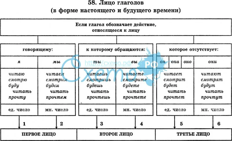 1 лицо глагола. Категория лица глагола в русском языке. Категории глагола в русском языке таблица. Лица глаголов таблица. Лицо глагола таблица схема.