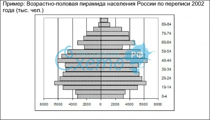 Возрастно-половая пирамида населения России по переписи 2002 года