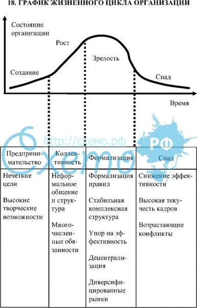 График жизненного цикла организации
