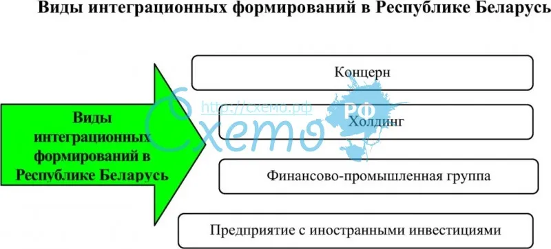 Виды интеграционных формирований в Республике Беларусь