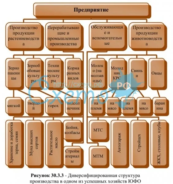 Диверсифицированная структура производства в одном из успешных хозяйств ЮФО