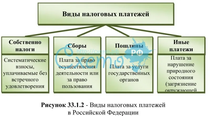 Виды налоговых платежей в Российской Федерации