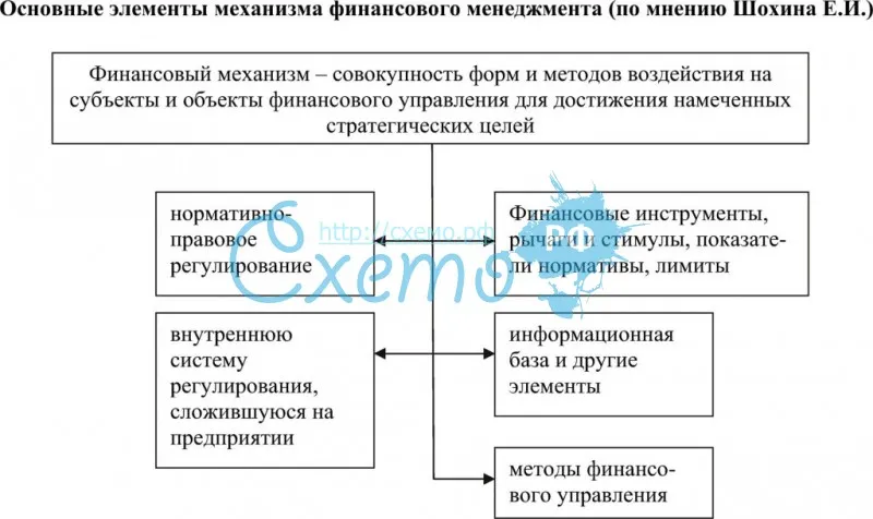 Основные элементы механизма финансового менеджмента (по мнению Шохина Е.И.)