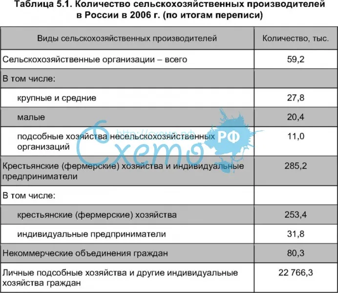 Количество сельскохозяйственных производителей в России в 2006 г.