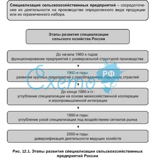 Этапы развития специализации сельскохозяйственных предприятий России