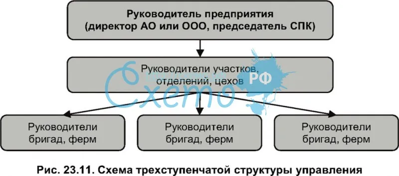 Схема трехступенчатой структуры управления