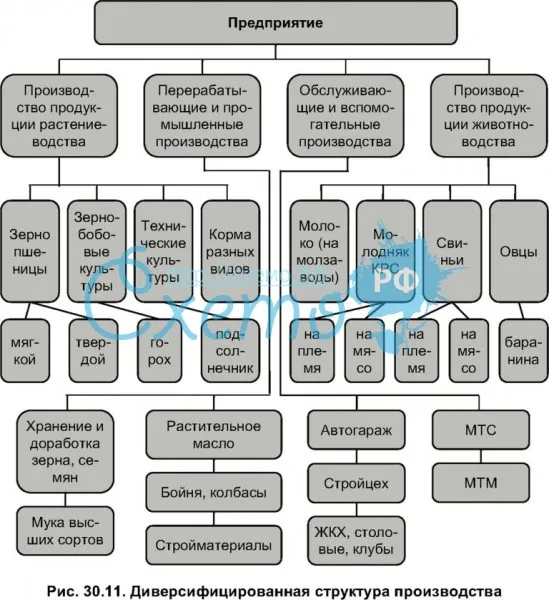 Диверсифицированная структура производства (диверсификация)
