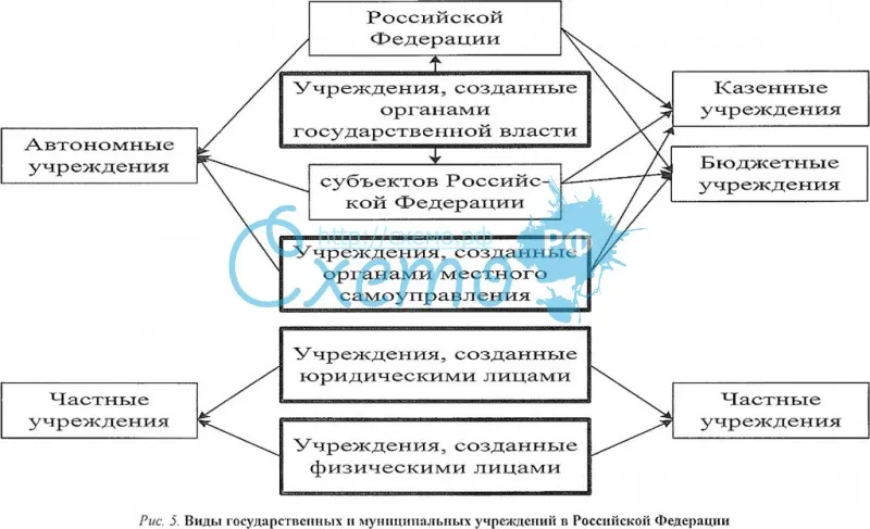 Виды государственных и муниципальных учреждений в Российской Федерации