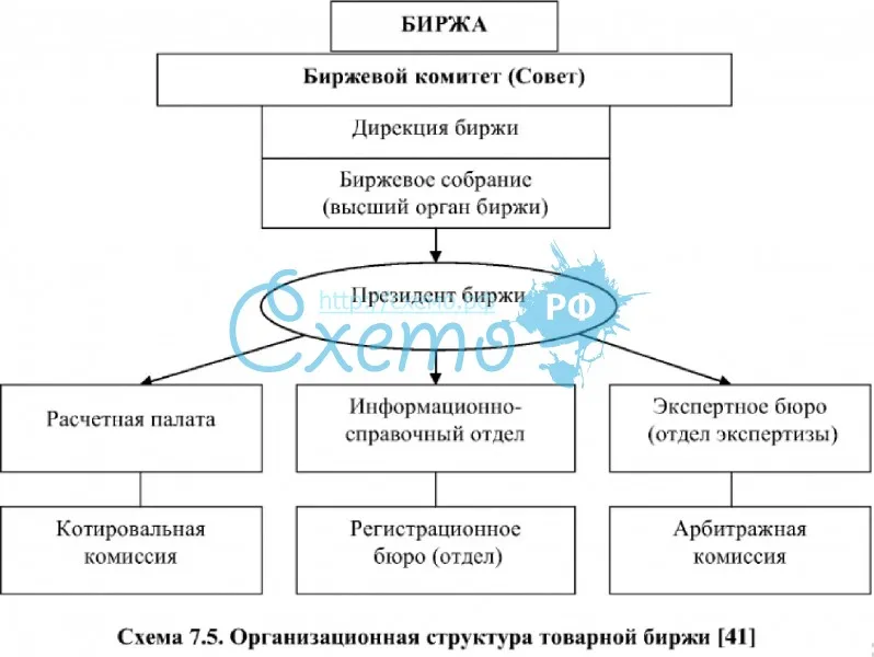 Организационная структура товарной биржи
