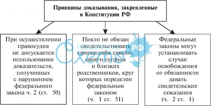 Принципы доказывания, закрепленные в Конституции РФ